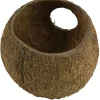JBL Cocos Cava 3/4 hule