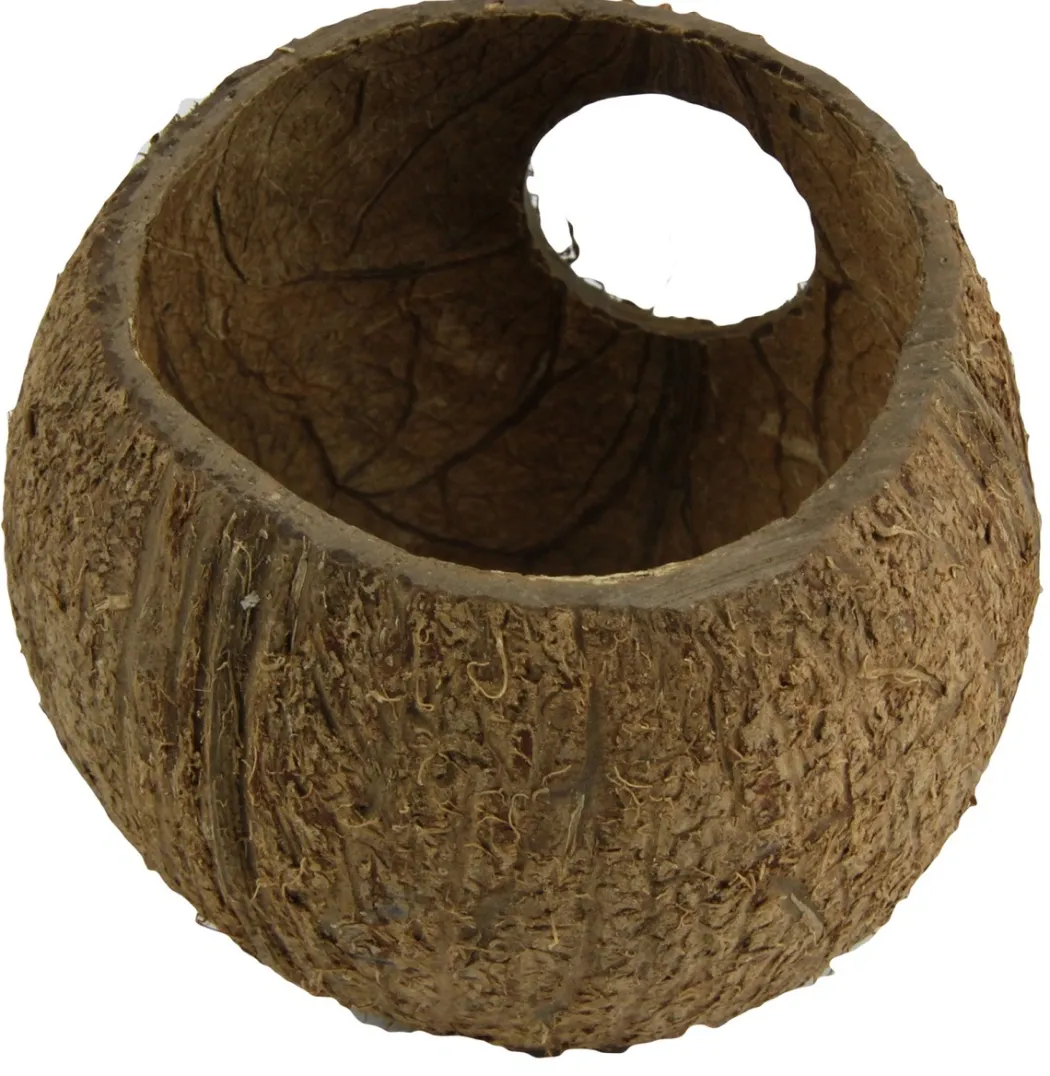 JBL Cocos Cava 3/4 hule