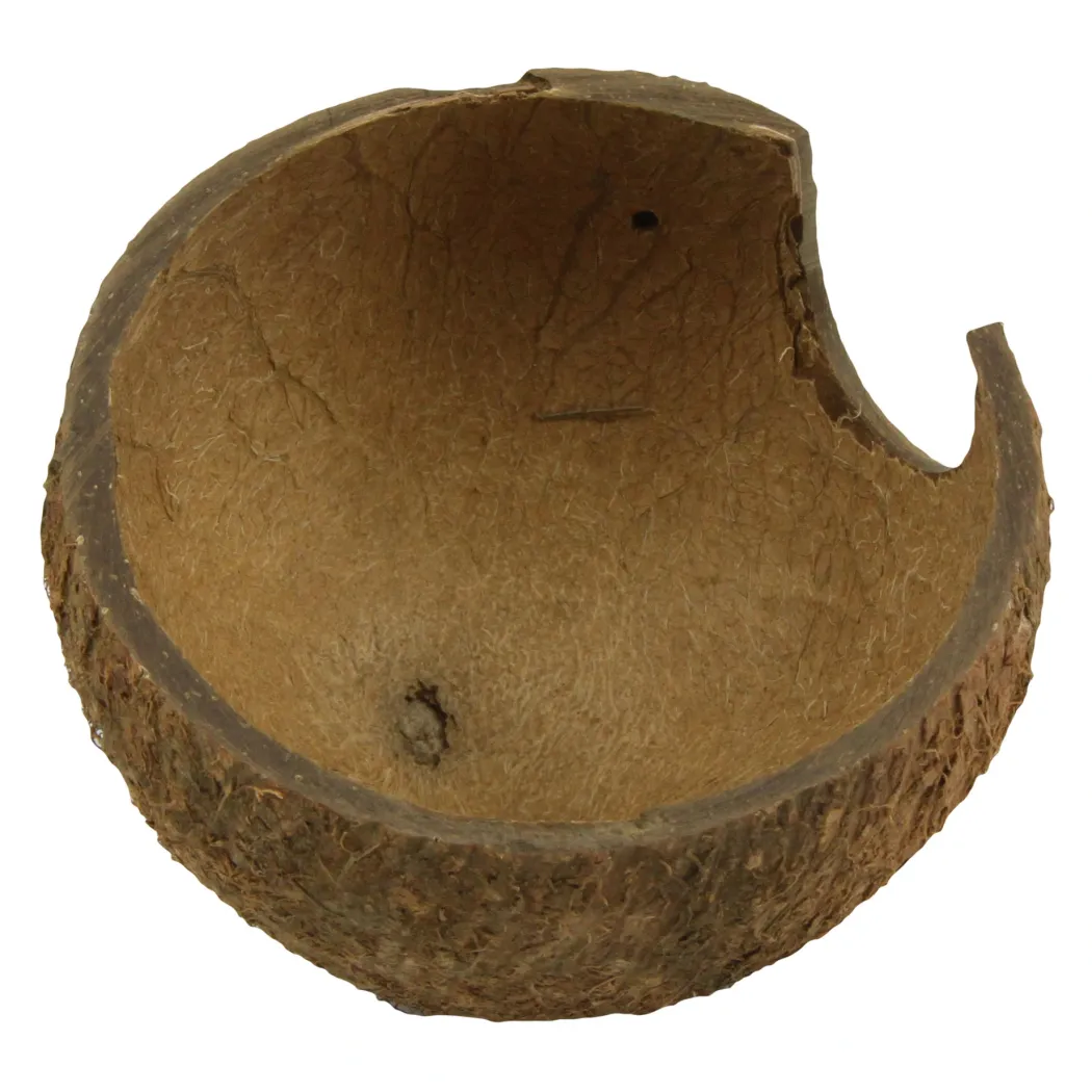 JBL Cocos Cava 1/2 hule (medium)