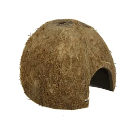 JBL Cocos Cava 1/2 hule (medium)