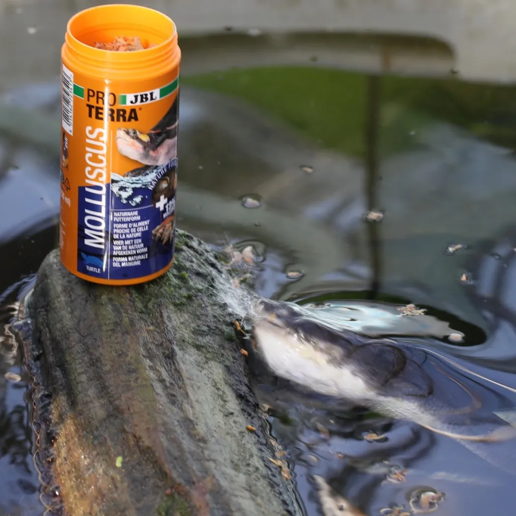 JBL ProTerra Molluscus 2,5 Liter Skildpaddefoder