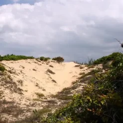 JBL TerraSand (gul) 7,5 kg