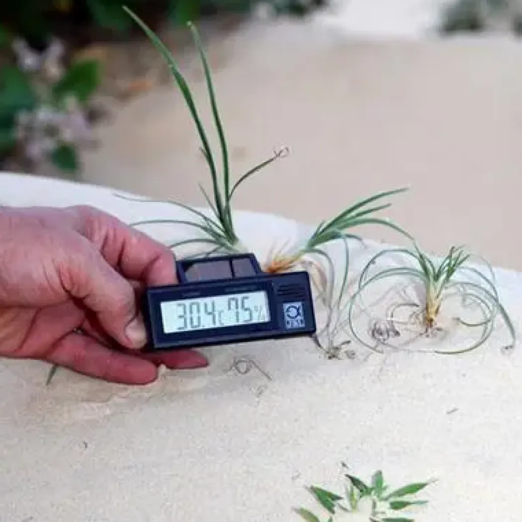 JBL TerraSand (hvid) 7,5 kg.