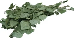 JR Et stykke natur Tørrede Birkegrene 40 g