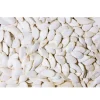 JR Farm Græskarkerner 125 g