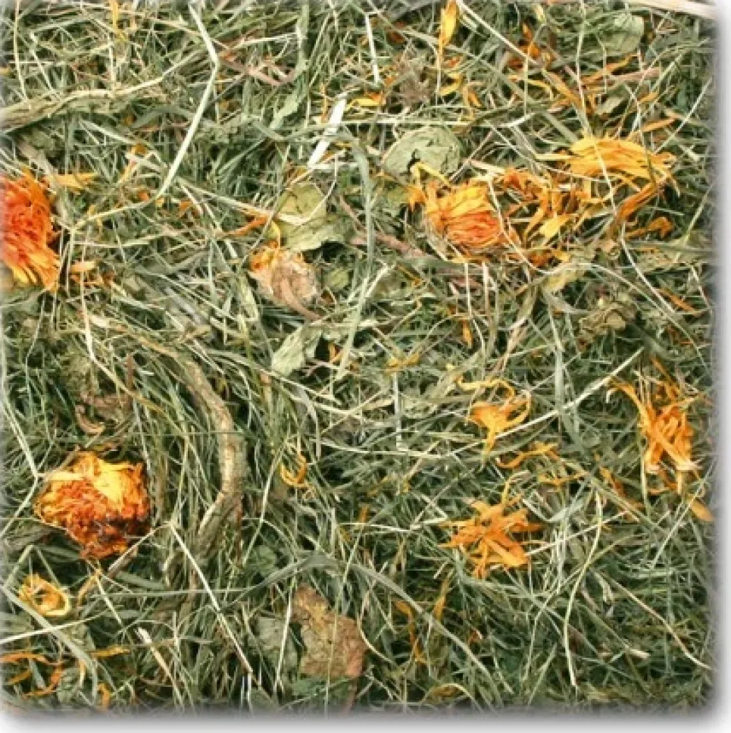 JR Farm Mælkebøtteeng 500 g