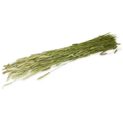 JR Farm Timothyhøst 80 g