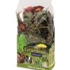 JR Grainless PLUS Salvie/Mælkebøtte 100 g