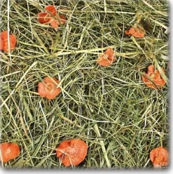 JR Gulerodseng 500 g
