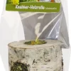 JR Snack Trærulle Mælkebøtte 100 gram