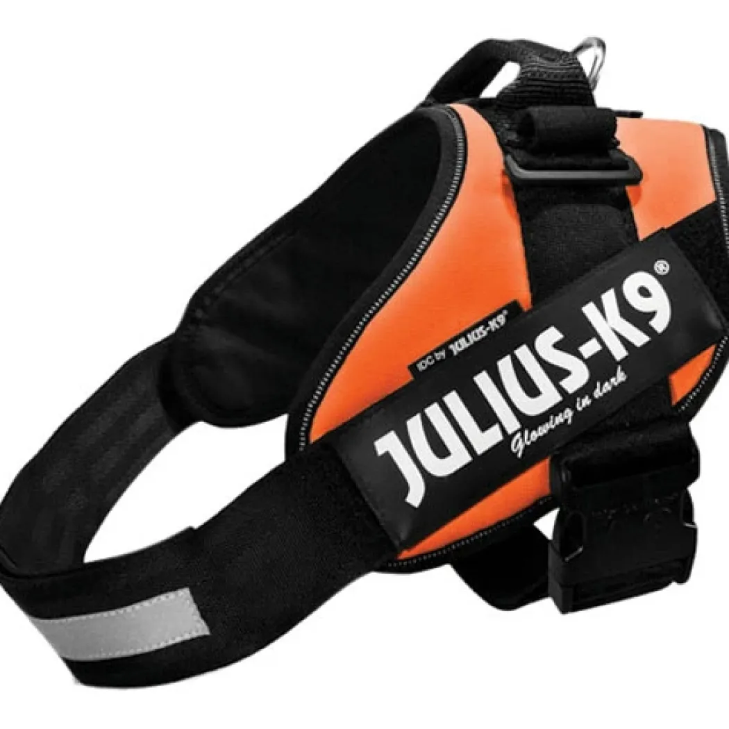Julius K9 hundesele IDC Orange str 4