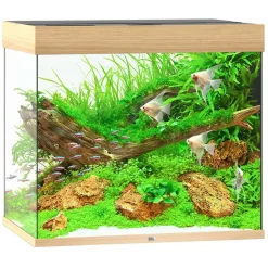 Juwel Akvarium Led Lido 200 Liter Eg 70x51x65 cm