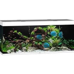 Juwel Akvarium Led Rio 450 Hvid 151x51x66 cm 450 L