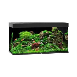 Juwel Akvarium Led Rio 350 Sort 121x51x66 cm 350 L