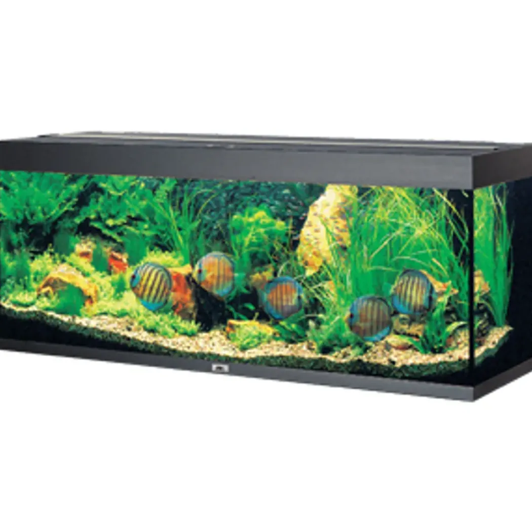 Juwel Akvarium Led Rio 450 Sort 151x51x66 cm 450 L