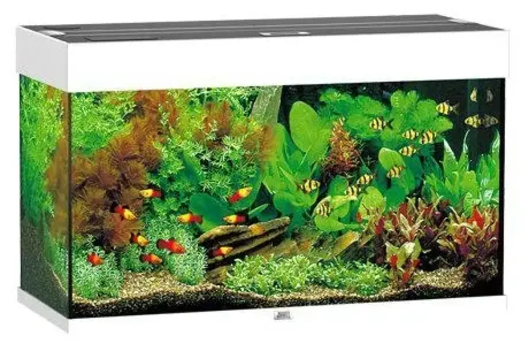 Juwel Akvarium Rio 125 Hvid