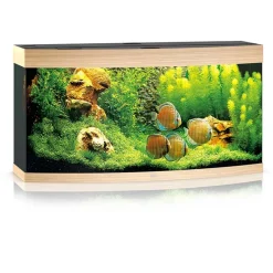 Juwel Aquarium VISION 260 Eg