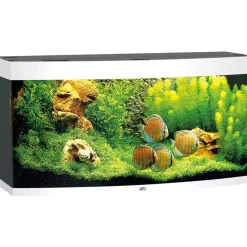 Juwel Aquarium VISION 260 LED Hvid