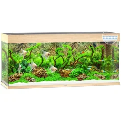Juwel Rio 240 L Eg 121x41x55 cm