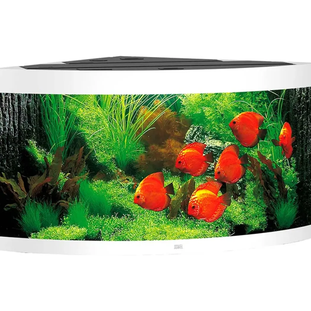 Juwel Trigon 350 Hvidt Akvarium