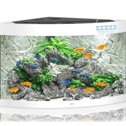 Juwel Trigon 350 Hvidt Akvarium