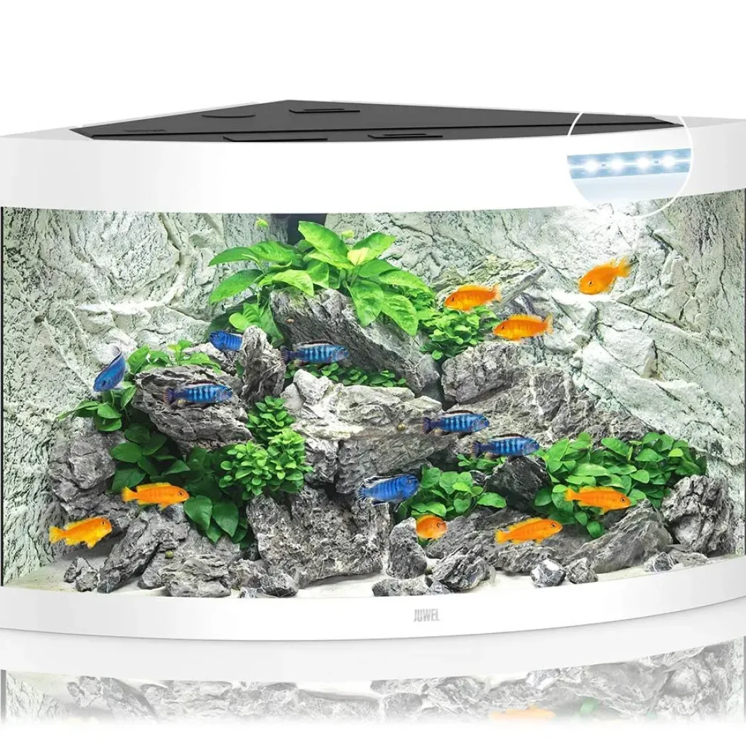 Juwel Trigon 350 Hvidt Akvarium