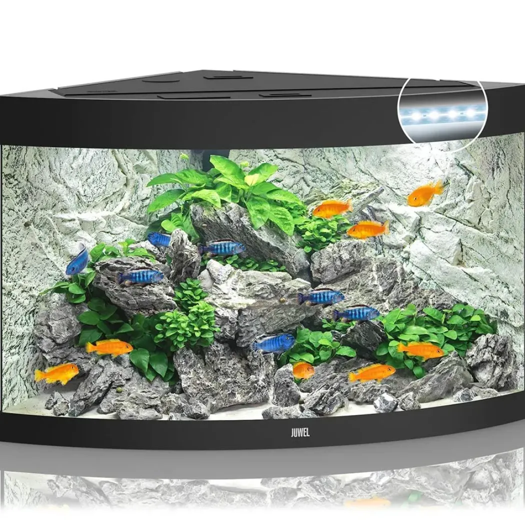 Juwel Trigon 350 Sort Akvarium