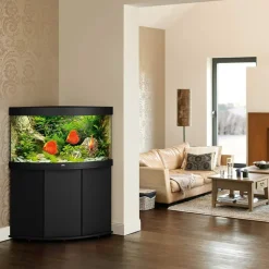 Juwel Trigon 350 Sort Akvarium