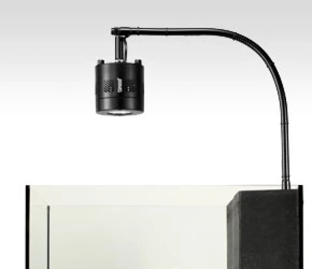 Kessil Gooseneck 90 Degree Adapter