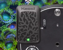 Kessil WiFi Dongle EU version