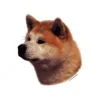 Klistermærke af Akita Inu Hoved Mini