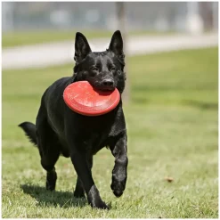 KONG Classic Flyer frisbee rød S Ø18 cm