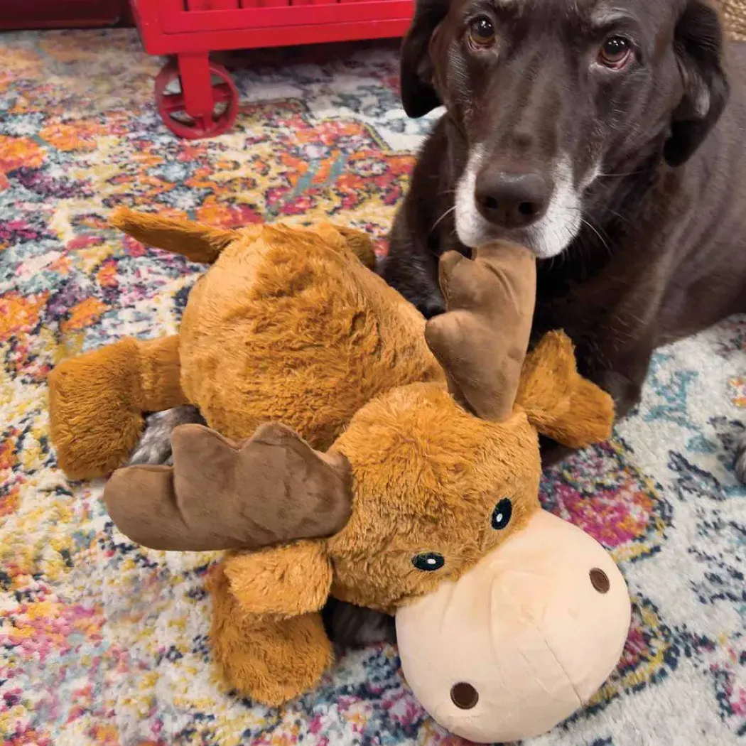 Kong Cozie Marvin Moose Jumbo XL - kæmpe bamse til store hunde