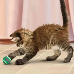 Kong Kattelegetøj Active Tennisbolde med klokker Ø4 cm