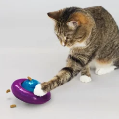 Kong Kattelegetøj Infused Cat Gyro