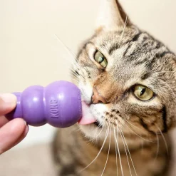 Kong Kattelegetøj Kitty 6 cm