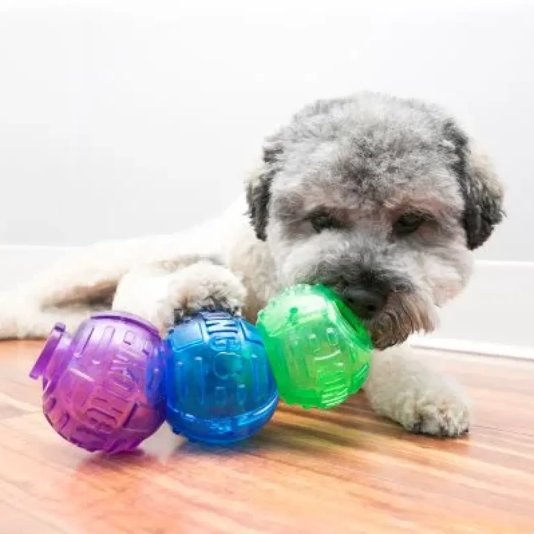 KONG Lock it Small - snackbold til små hunde