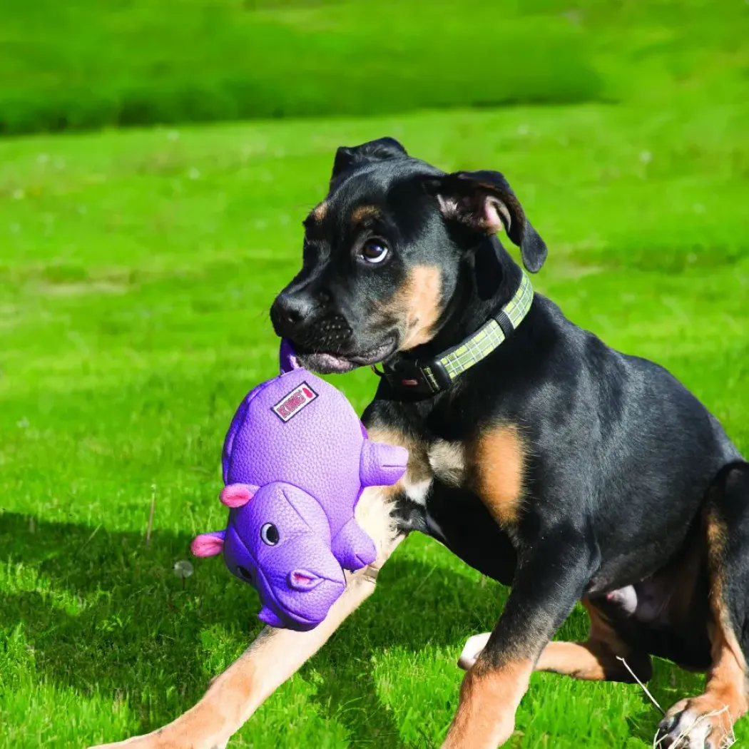 KONG Phatz Flodhest Medium - robust bamse hundelegetøj