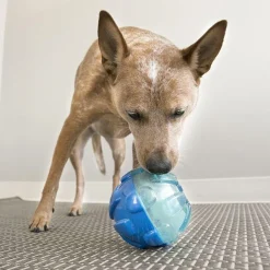 KONG Reward Ball Large 12 cm - snacklegetøj til hunde