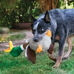 KONG Shakers Honkers Duck Large - bamse hundelegetøj med lyd