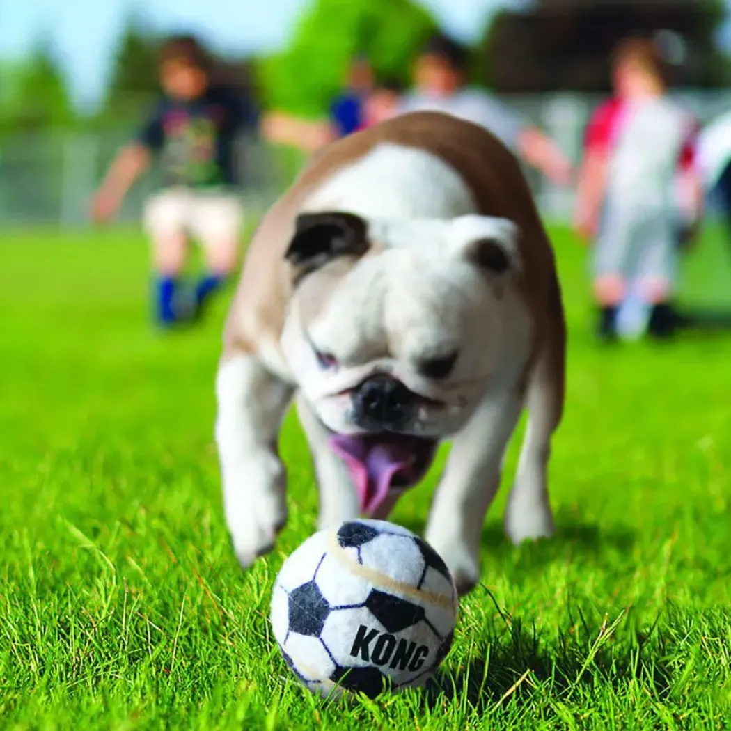 KONG Sport Balls S 3 stk 5 cm - slidstærke små hundebolde
