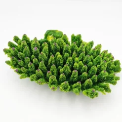 Kunstig koral Acropora millepora (Green)