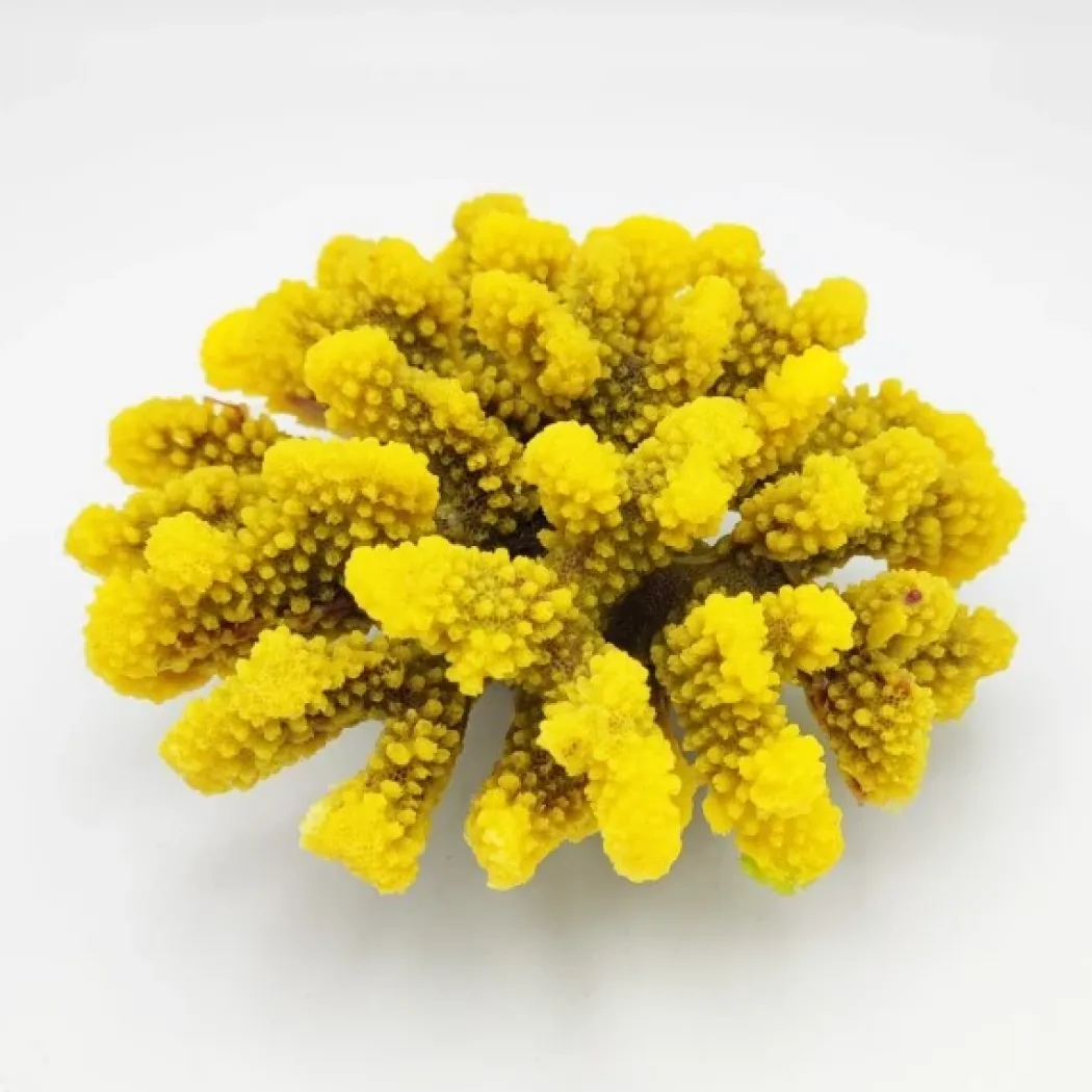 Kunstig koral Pocillopora verrucosa L (Yellow)