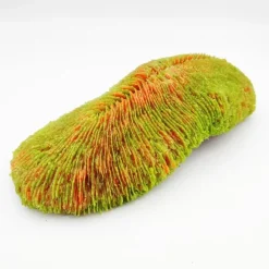 Kunstig koral Polyphyllia talpina (Green) 24x11x6 cm