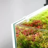 LED Lys Baggrund til akvariet 60x45x1 cm