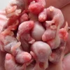 Levende pinkie (sendes ikke)