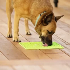 LickiMat Slikkemåtte 28 x 28 cm Grøn - aktiveringsmåtte til hunde