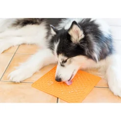 LickiMat Slikkemåtte 20 x 20 cm Orange - aktiveringsmåtte til hunde