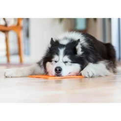 LickiMat Slikkemåtte 20 x 20 cm Orange - aktiveringsmåtte til hunde