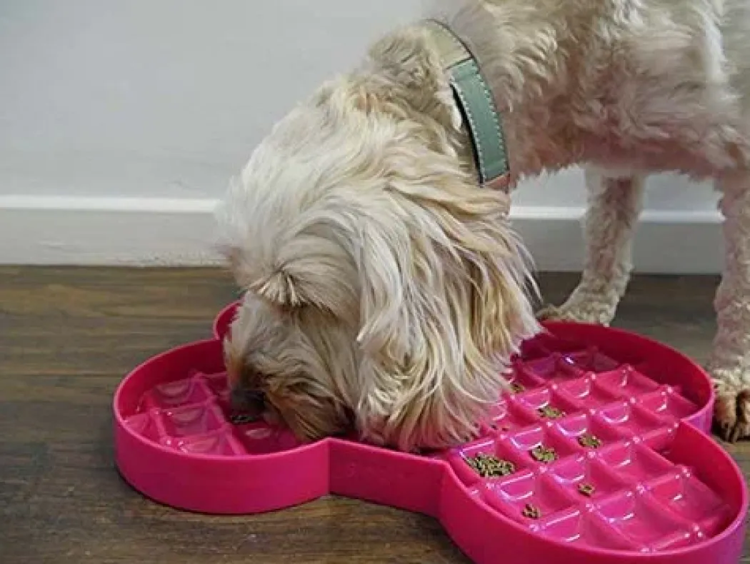 LickiMat Slowfeeder Slikkeplade 32 cm - slowfeeder plade til hunde